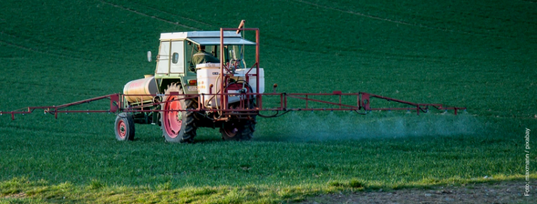 Glyphosat-Ausstieg: Grüne in Nenndorf fordern konkrete Maßnahmen